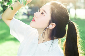 爱上海后花园：上海可再生资源发展战略的制定